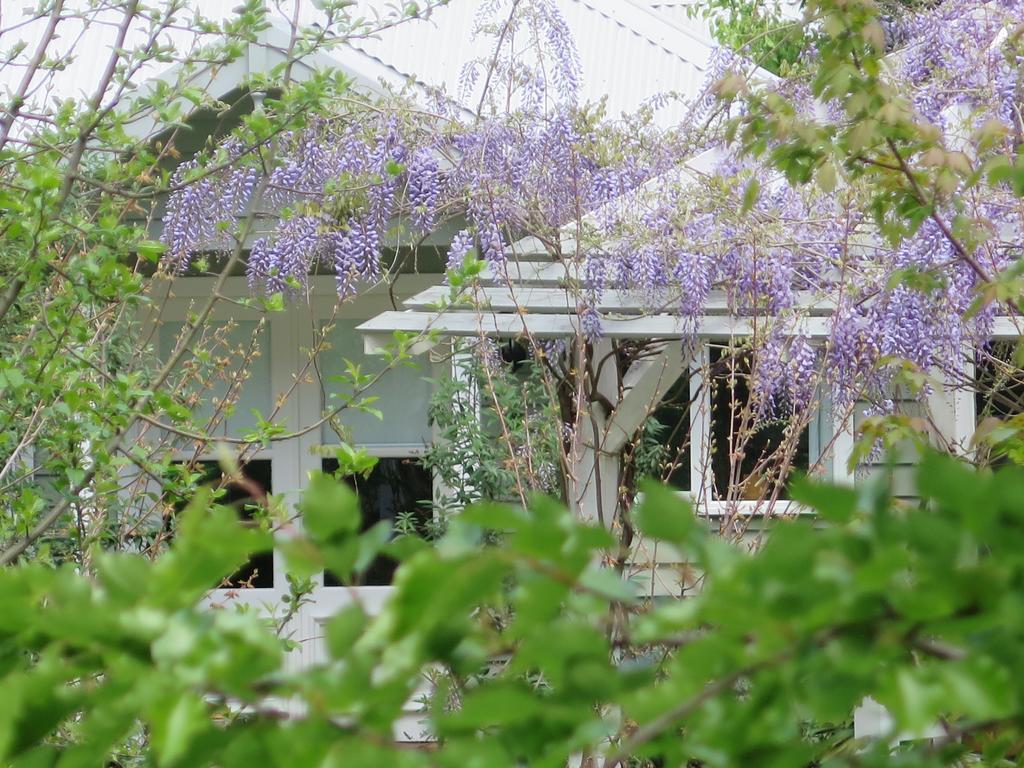 Amelina Cottages แมรีส์วิลล์ ภายนอก รูปภาพ